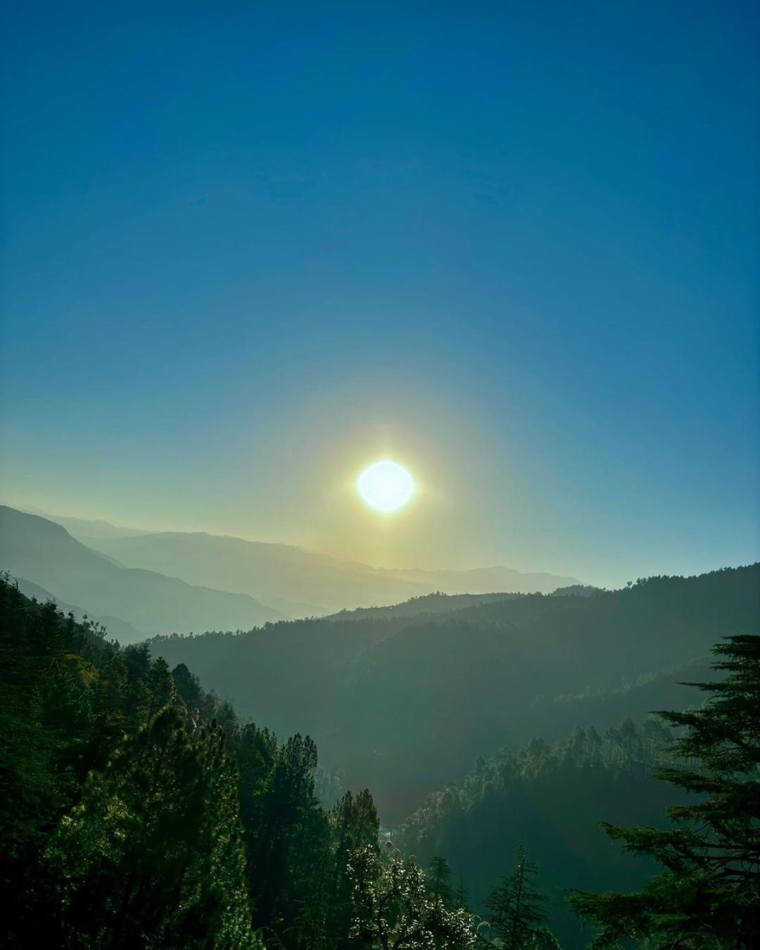 Summer Hill Resort Chail Ngoại thất bức ảnh